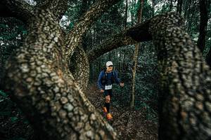 BIB: 
                            <button type="button" onclick="openModal(25394184)" class="btn btn-primary btn-sm float-right btn-popup" data-toggle="modal" data-target=".modal-high-quality">
                        <i class="fas fa-shopping-cart"></i> Add to Cart
                    </button>
                                            <button type="button" onclick="isThisMe(25394184, true)" class="btn btn-success btn-sm float-right btn-popup btn-isme hidden" data-toggle="tooltip" data-placement="bottom" title="นี่คือรูปของคุณใช่ไหม คลิกที่นี่เพื่อเอาเข้าอัลบั้ม">
                        <i class="fas fa-plus"></i> Add to album
                    </button>
                    <button type="button" onclick="isThisMe(25394184, false)" class="btn btn-warning btn-sm float-right btn-popup btn-isnotme hidden">
                        <i class="fas fa-ban"></i> Remove from album
                    </button>